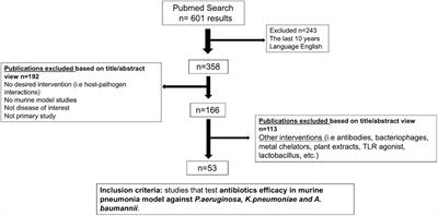 Variability of murine bacterial pneumonia models used to evaluate antimicrobial agents